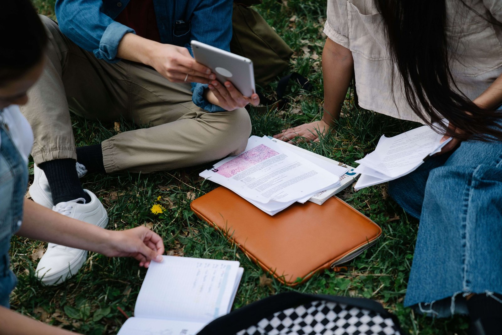 Elepa Consultancy coaching session